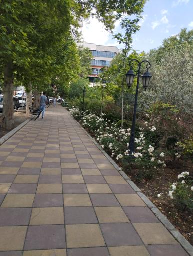 عکس میدان شهید مدنی