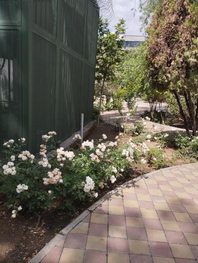 عکس میدان شهید مدنی