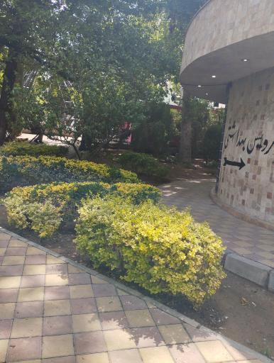 عکس میدان شهید مدنی