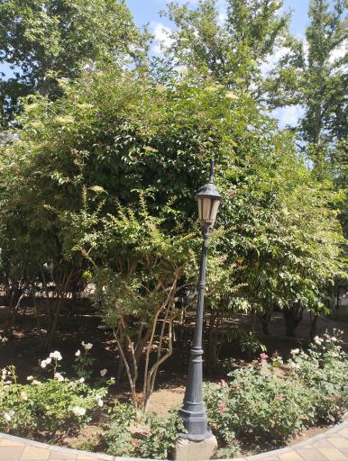 عکس میدان شهید مدنی