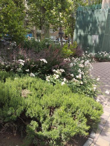 عکس میدان شهید مدنی