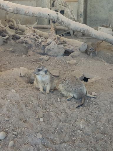 تونل خزندگان