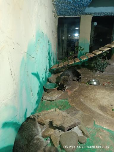 عکس تونل خزندگان