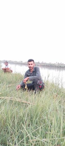 عکس پارک ساحلی بهمنشیر