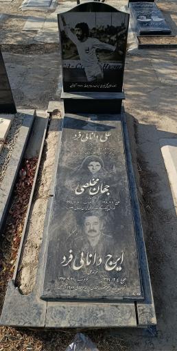 عکس مزار ایرج دانائی فرد