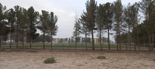 عکس مجموعه ورزشی شهید یزدخواستی