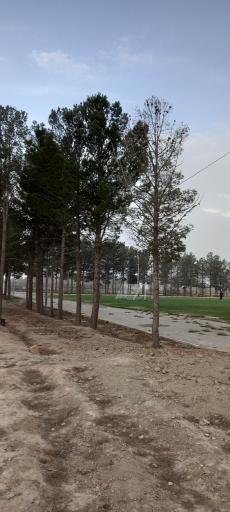 عکس مجموعه ورزشی شهید یزدخواستی