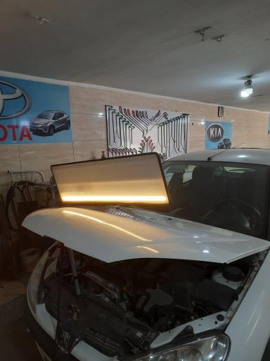 عکس صافکاری شاهین