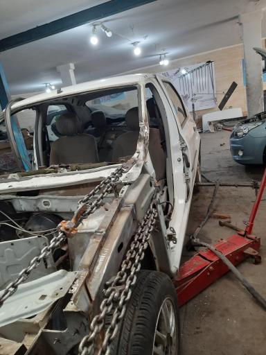 عکس صافکاری شاهین