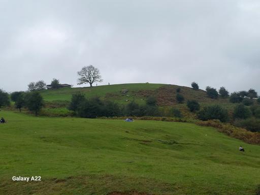 عکس جنگل سنگچال 