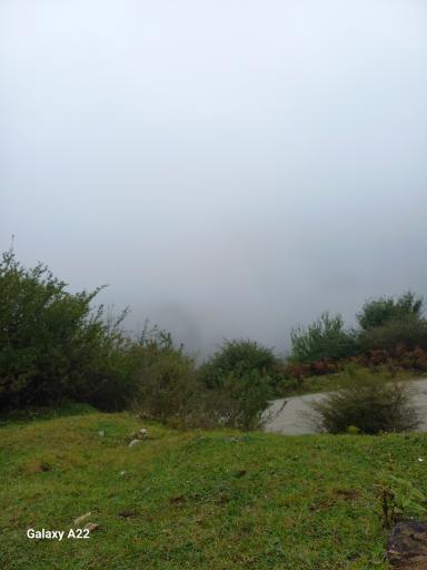 عکس جنگل سنگچال 