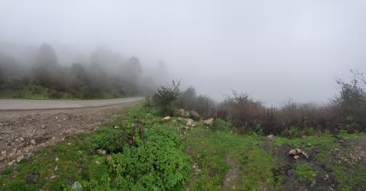 عکس جنگل سنگچال 