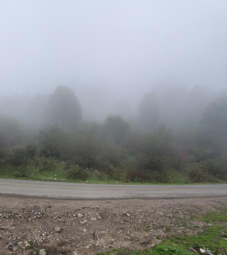 عکس جنگل سنگچال 