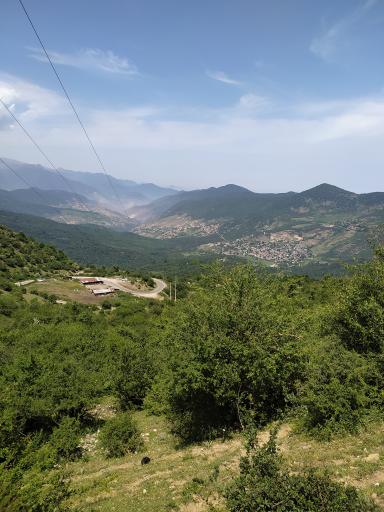 عکس جنگل سنگچال 