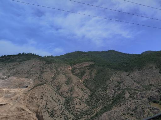 عکس جنگل سنگچال 