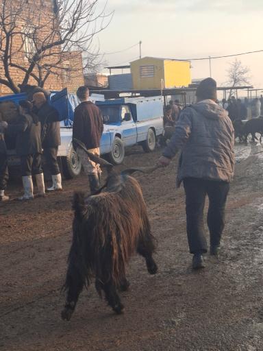 عکس بازاردام مشهد تپه سلام