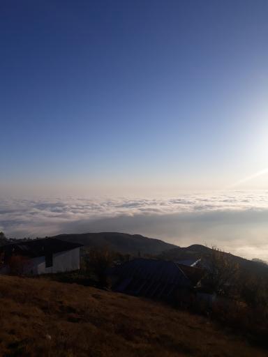 عکس جنگل سنگچال 