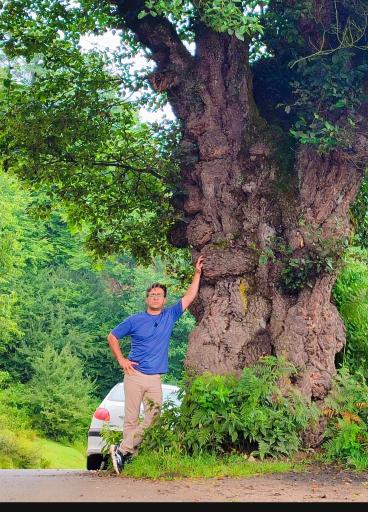 عکس جنگل سنگچال 