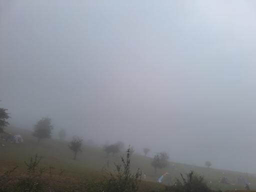 عکس جنگل سنگچال 