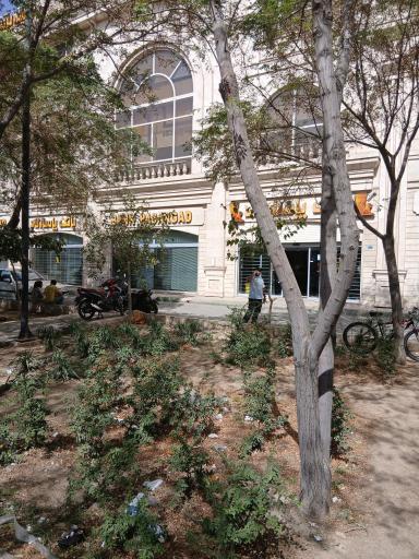 عکس بانک پاسارگاد