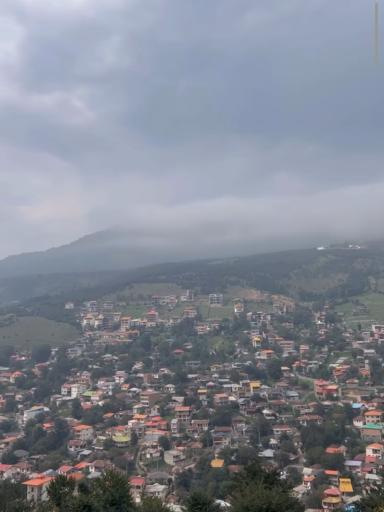 عکس جنگل سنگچال 