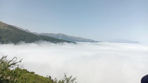 عکس جنگل سنگچال 