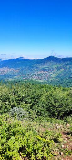 عکس جنگل سنگچال 