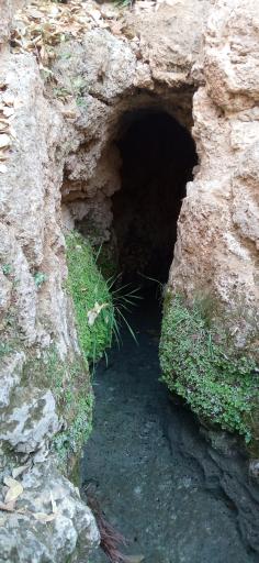 عکس سر آسیاب سیدان