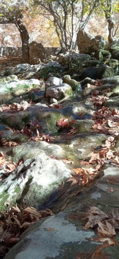 عکس سر آسیاب سیدان