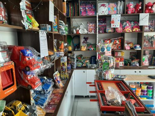 عکس اسباب بازی فروشی حسینی