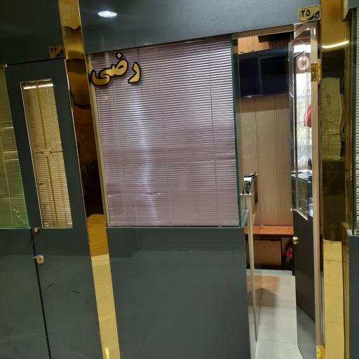 عکس طلای رضی