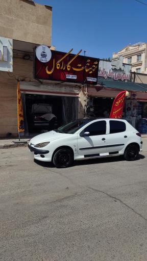 عکس تزئینات کاراکال