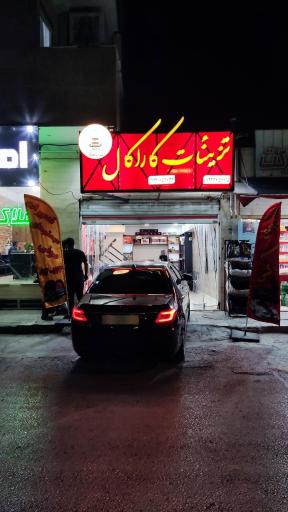 عکس تزئینات کاراکال