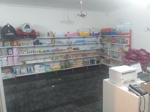 عکس کلینیک دامپزشکی بهین