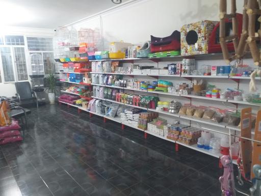 عکس کلینیک دامپزشکی بهین