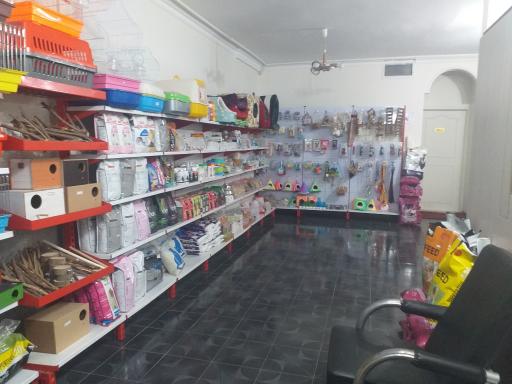 عکس کلینیک دامپزشکی بهین