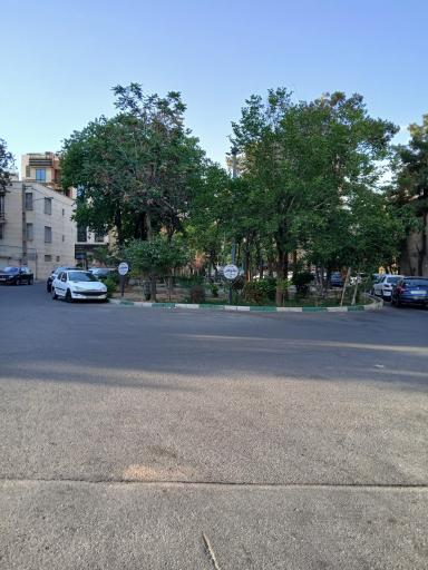 عکس میدان نیلوفر