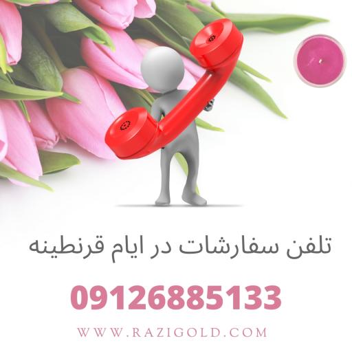 عکس طلای رضی