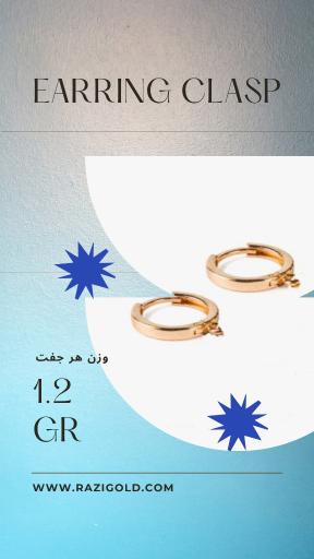 عکس طلای رضی