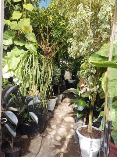 عکس دهکده گل ایرانیان