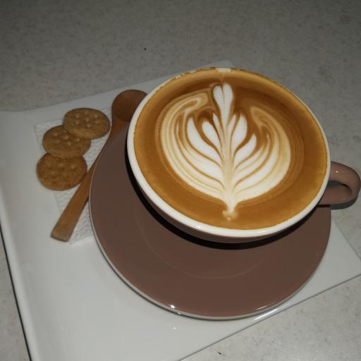 عکس کافه بستنی کاج