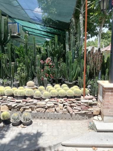 عکس دهکده گل ایرانیان