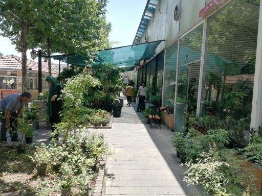 عکس دهکده گل ایرانیان