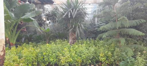 عکس دهکده گل ایرانیان