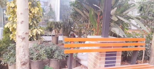 عکس دهکده گل ایرانیان