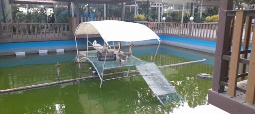 عکس دهکده گل ایرانیان