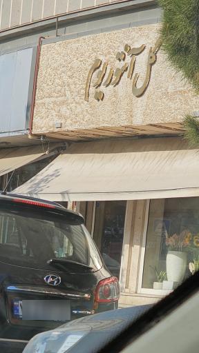 عکس گل آنتوریوم