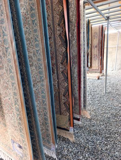 عکس قالیشویی پاک سون