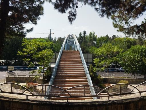 عکس بوستان اقاقیا