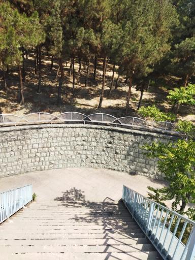 عکس بوستان اقاقیا